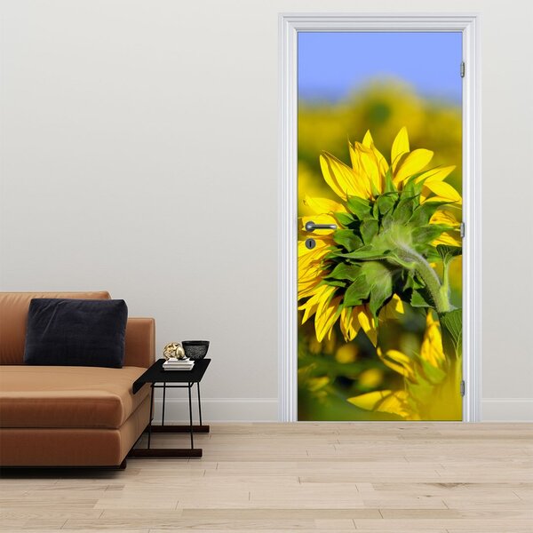 Fototapeta na dvere - Slnečnica (95x205cm)
