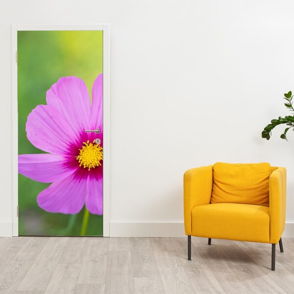 Fototapeta na dvere - Lúčny kvet (95x205cm)