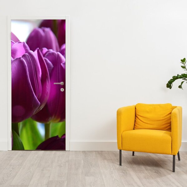 Fototapeta na dvere - Tulipány (95x205cm)