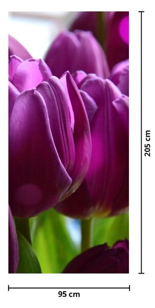 Fototapeta na dvere - Tulipány (95x205cm)