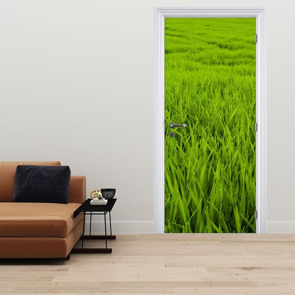 Fototapeta na dvere - Tráva (95x205cm)