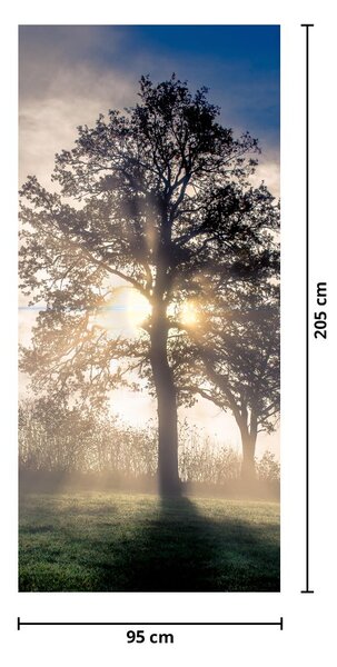 Fototapeta na dvere - Strom v hmle (95x205cm)