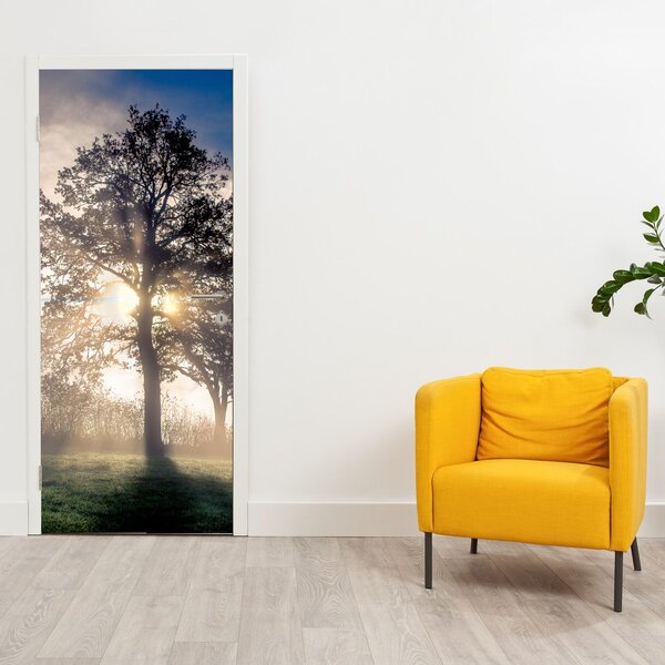 Fototapeta na dvere - Strom v hmle (95x205cm)