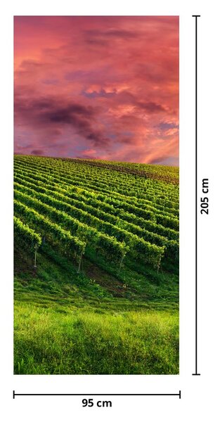 Fototapeta na dvere - Vinohrad s farebným nebom (95x205cm)