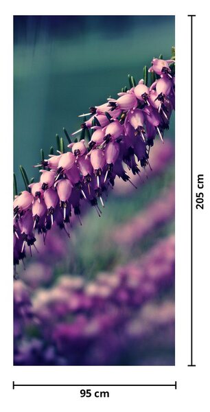 Fototapeta na dvere - Levanduľa (95x205cm)