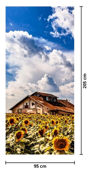 Fototapeta na dvere - Slnečnicové pole (95x205cm)