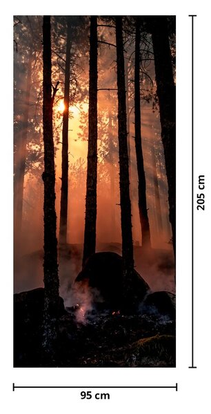 Fototapeta na dvere - Temný les (95x205cm)
