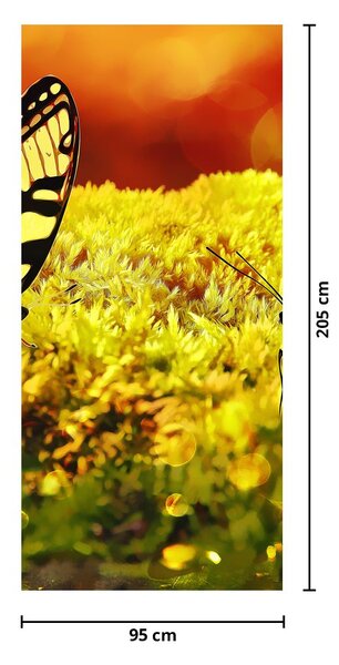 Fototapeta na dvere - Motýle (95x205cm)