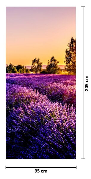 Fototapeta na dvere - Levanduľové pole (95x205cm)