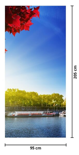 Fototapeta na dvere - Jeseň v Paríži (95x205cm)
