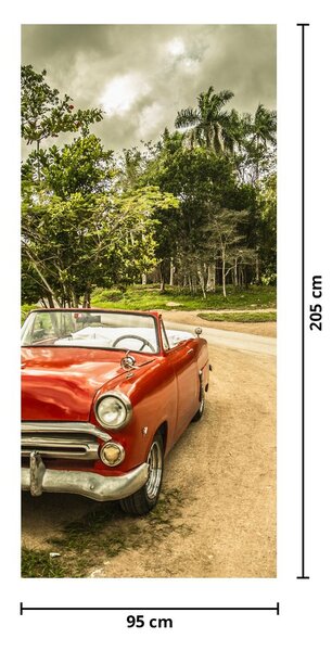 Fototapeta na dvere - Auto veterán v prírode (95x205cm)