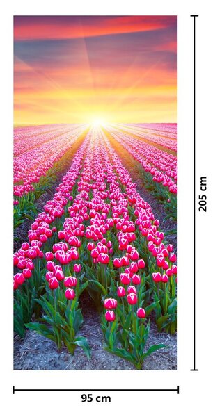 Fototapeta na dvere - Pole tulipánov so slnkom (95x205cm)
