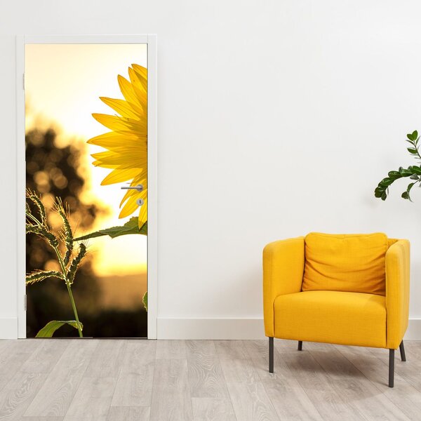 Fototapeta na dvere - Slnečnica (95x205cm)