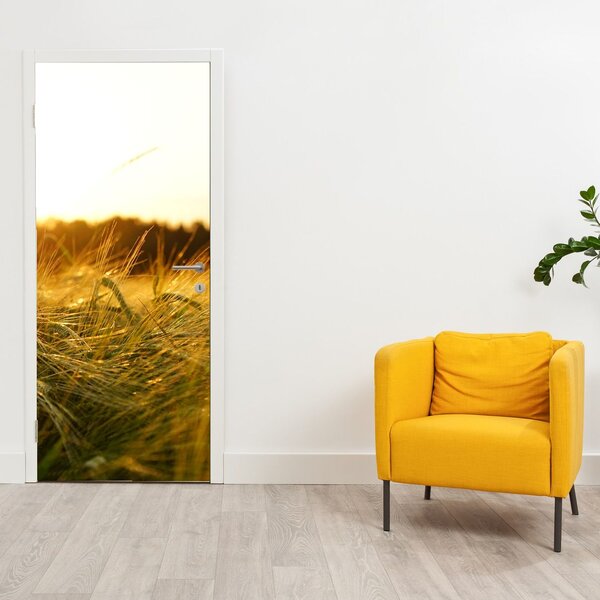 Fototapeta na dvere - Orosená tráva (95x205cm)