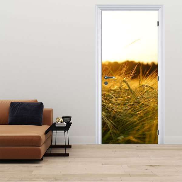 Fototapeta na dvere - Orosená tráva (95x205cm)