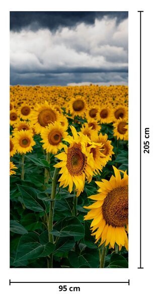 Fototapeta na dvere - Slnečnicové pole (95x205cm)