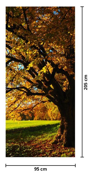 Fototapeta na dvere - Jeseň (95x205cm)
