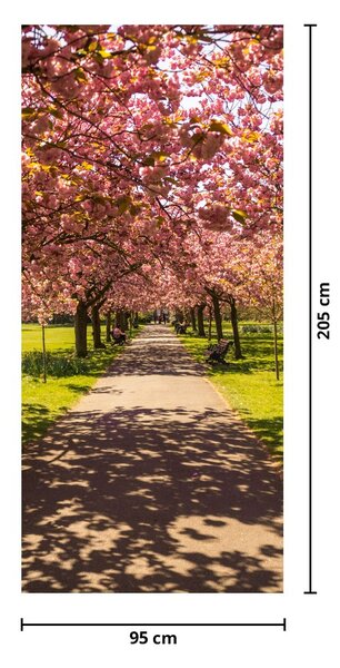 Fototapeta na dvere - Sad čerešní (95x205cm)