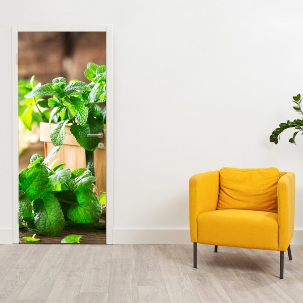 Fototapeta na dvere - Čerstvá mäta (95x205cm)