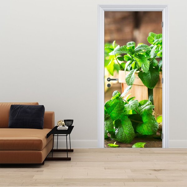 Fototapeta na dvere - Čerstvá mäta (95x205cm)