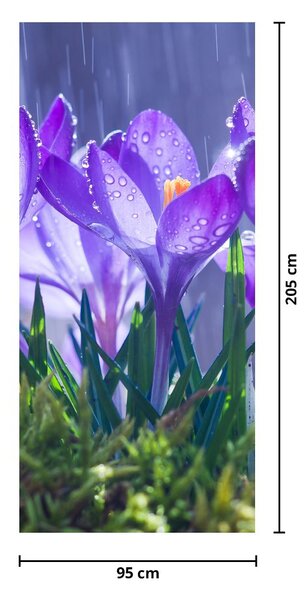 Fototapeta na dvere - Kvety v daždi (95x205cm)
