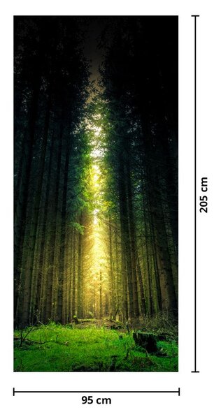 Fototapeta na dvere - Temný les (95x205cm)
