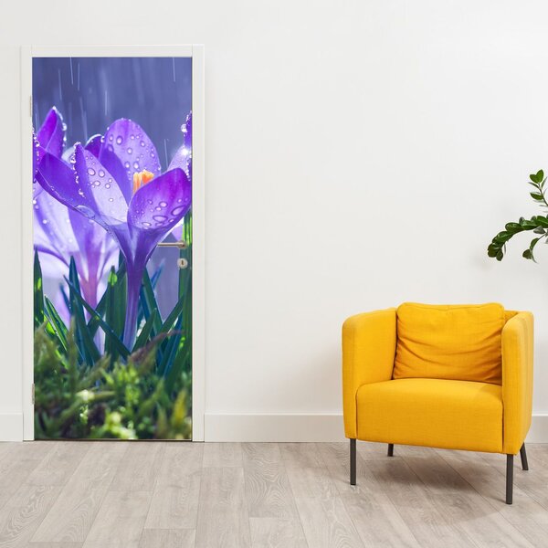 Fototapeta na dvere - Kvety v daždi (95x205cm)