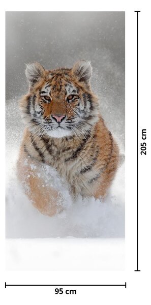 Fototapeta na dvere - Bežiaci tiger v snehu (95x205cm)