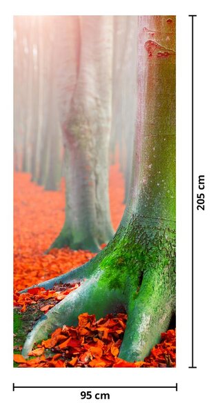 Fototapeta na dvere - Stromy (95x205cm)