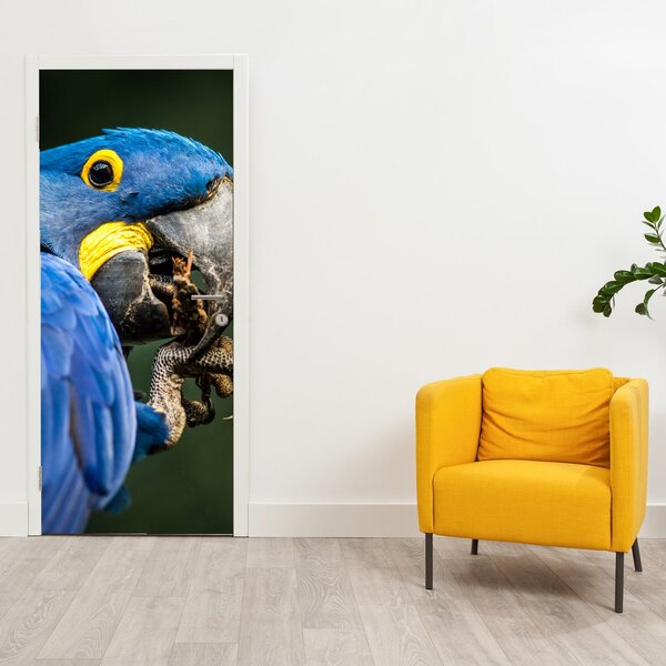Fototapeta na dvere - Papagáj (95x205cm)