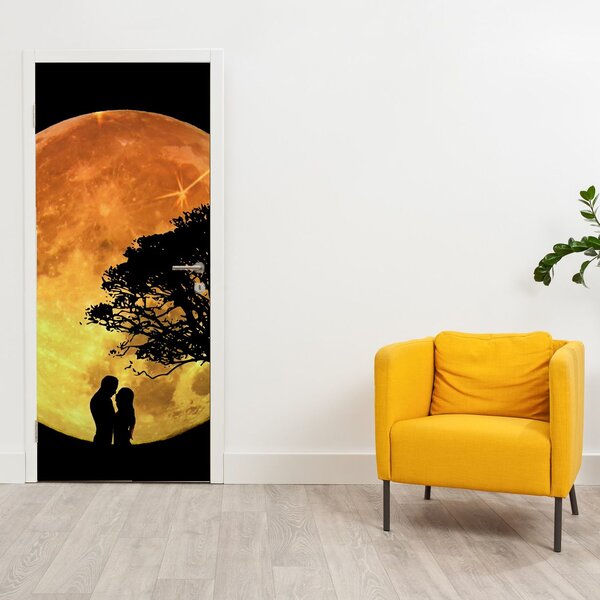 Fototapeta na dvere - Tiene v mesačnom svetle (95x205cm)