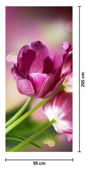 Fototapeta na dvere - Ružové tulipány (95x205cm)