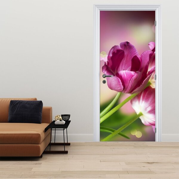 Fototapeta na dvere - Ružové tulipány (95x205cm)