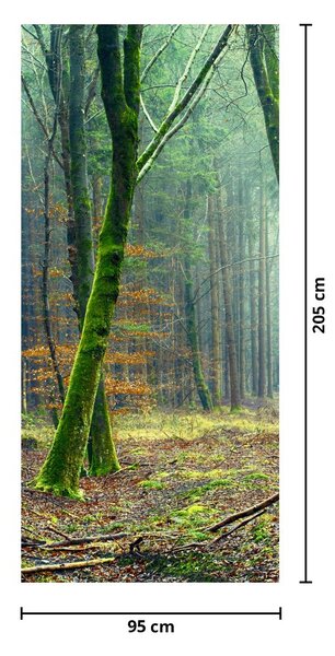 Fototapeta na dvere - Les (95x205cm)