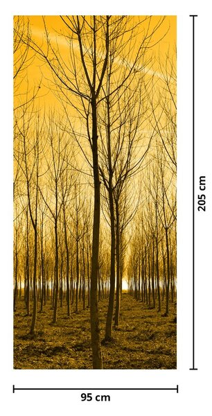 Fototapeta na dvere - Les pri západe slnka (95x205cm)