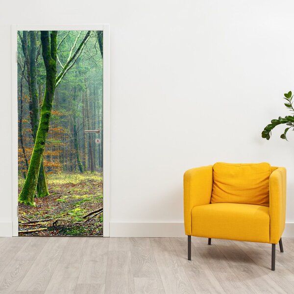Fototapeta na dvere - Les (95x205cm)