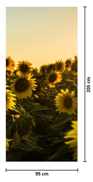 Fototapeta na dvere - Slnečnicové pole (95x205cm)