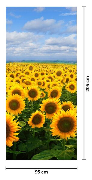 Fototapeta na dvere - Slnečnicové pole (95x205cm)