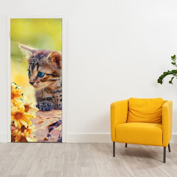 Fototapeta na dvere - Mačiatko dívajúce sa na kvetinu (95x205cm)