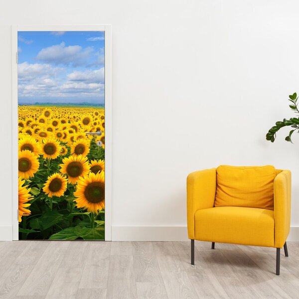 Fototapeta na dvere - Slnečnicové pole (95x205cm)
