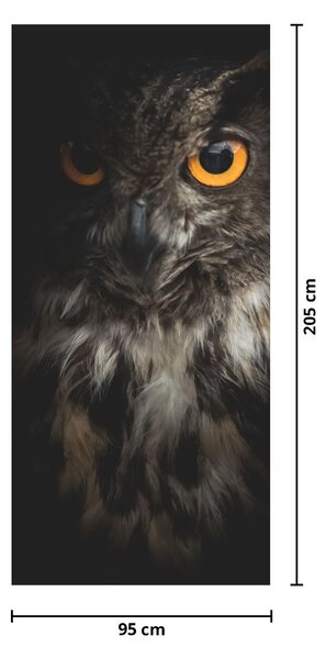 Fototapeta na dvere - Sova (95x205cm)