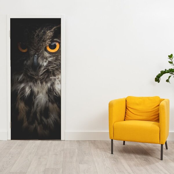 Fototapeta na dvere - Sova (95x205cm)