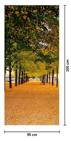 Fototapeta na dvere - Aleje jesenných stromov (95x205cm)