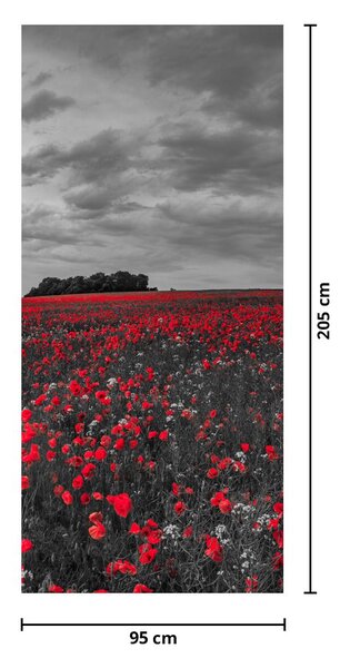 Fototapeta na dvere - Vlčie maky (95x205cm)