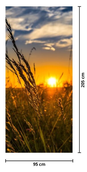 Fototapeta na dvere - Pole pri západe slnka (95x205cm)