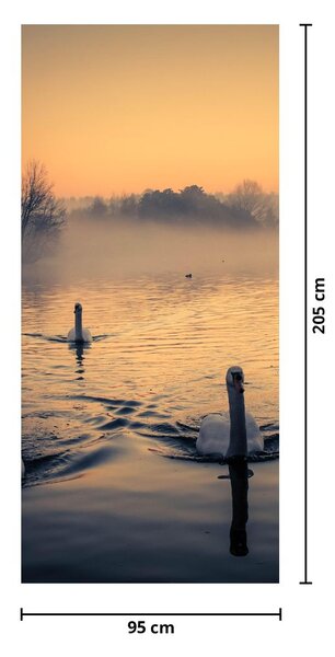 Fototapeta na dvere - Labute na vode v hmle (95x205cm)
