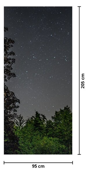Fototapeta na dvere - Nočná obloha (95x205cm)