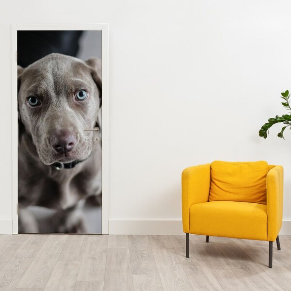 Fototapeta na dvere - Šteňa (95x205cm)