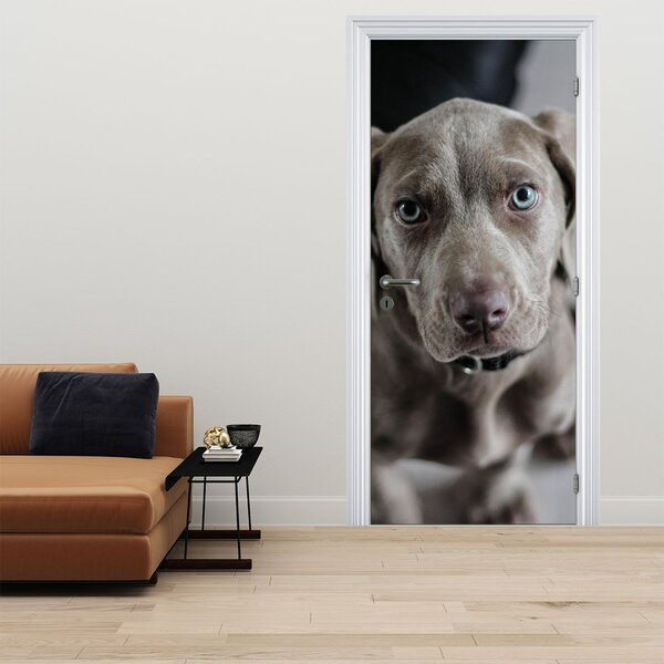Fototapeta na dvere - Šteňa (95x205cm)