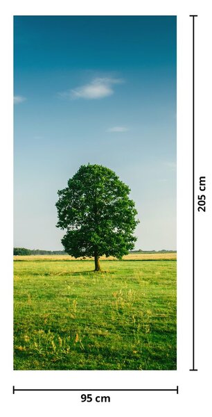 Fototapeta na dvere - Strom na lúke (95x205cm)